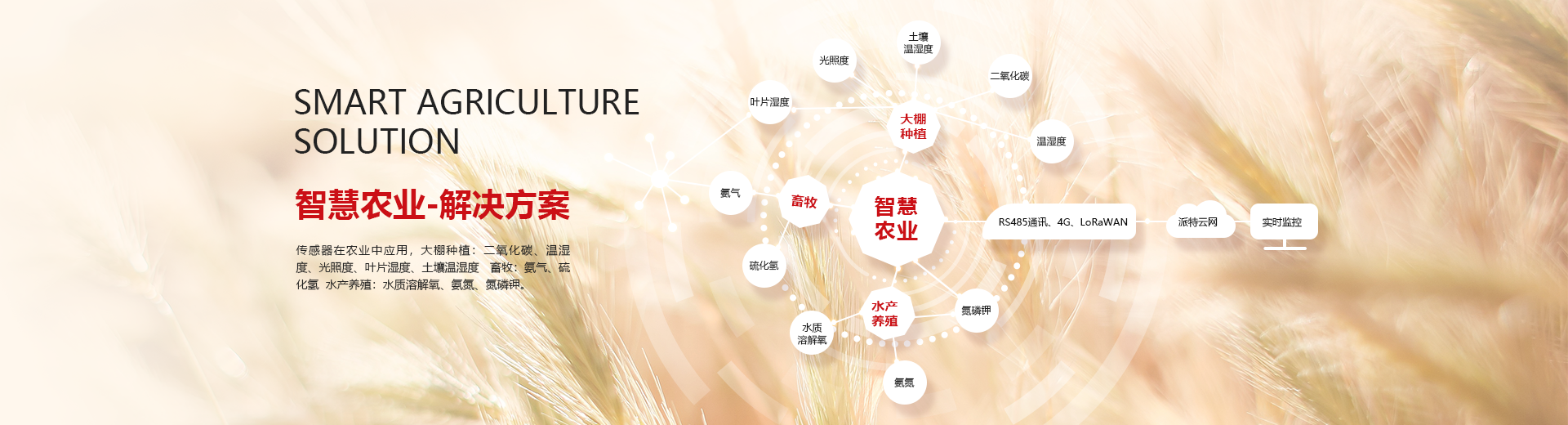 解決方案
